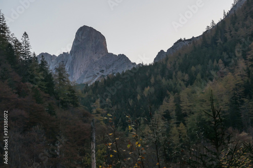 Foggy morning in Hochschwab region in Austrian Alps. Very gentle sunrise color. Sun rising from behind the mountain. Dense forest in front. Idyllic landscape. Freedom and wilderness photo