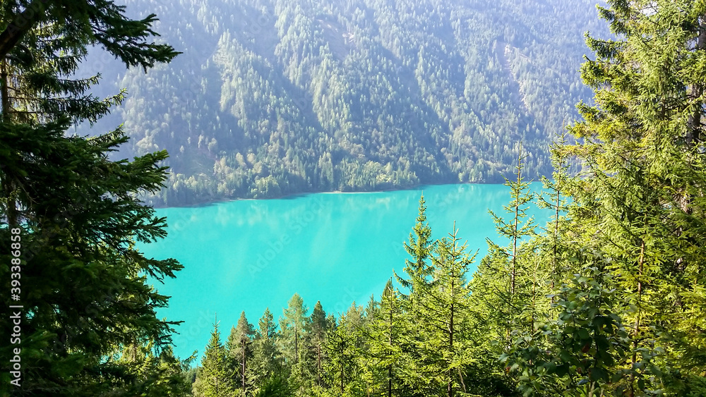 A distant view on Weissensee lake in Austria, seen from between the tree branches. The lake has a strong turquoise color and is surrounded by high mountains from each side. Natural beauty