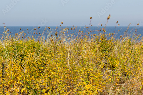 Nature reservat called Neptuni akrar, Oeland, Sweden photo