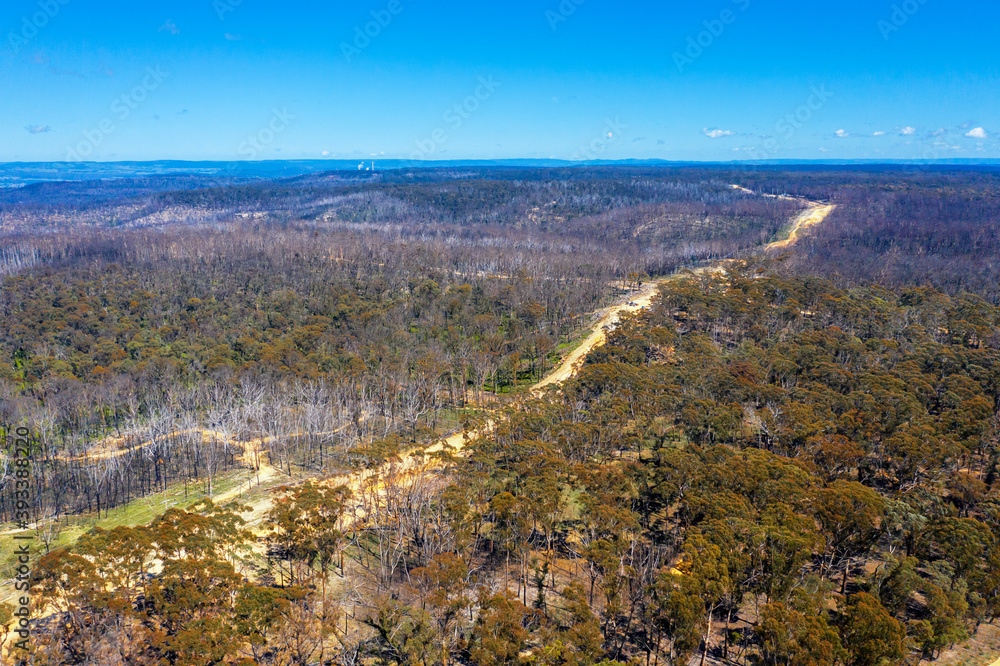 Aerial view of a dirt road in a forest affected by bushfire in regional Australia