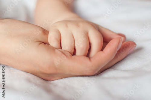 Baby hand gently holding adult's finger © all
