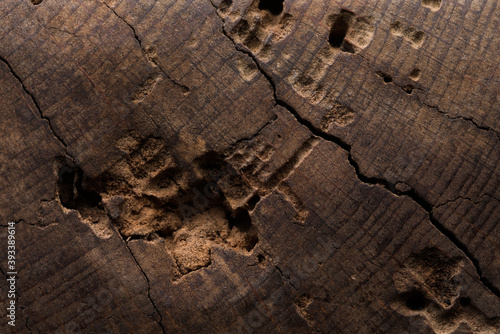 old barn Board texture for background. texture of old wood with cracks.