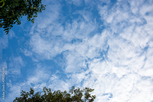 Fresh bright sky cover with white clouds  the treetops at the edge of the picture