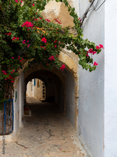 Pink bougainvillea bush on the house wall. Narrow lane in medina district of Hammamet town, Tunisia. Traditional old architecture for North Africa.