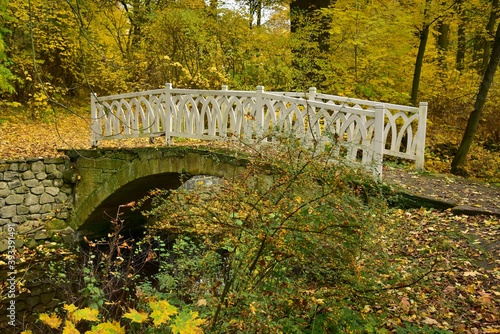 Krasny Dvur Park is a garden adjacent to the castle of the same name, shown in autumn with beautiful colors of fall season, Ustecky Region, North Bohemia, Czech Republic. photo