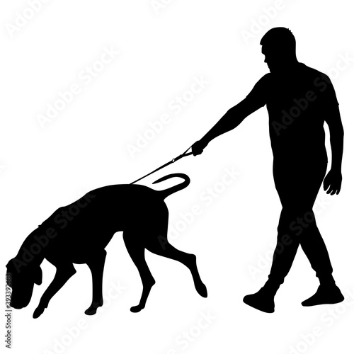 Doberman pinscher dog black silhouette on white background