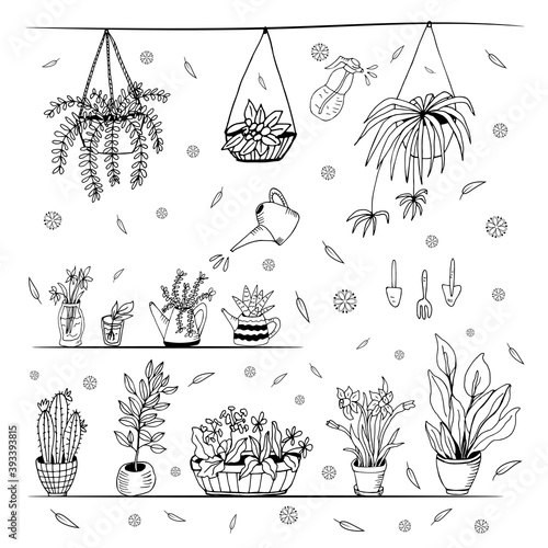 Set of hand drawn house plants in pots.  Big set cute of hand drawn house plants in pots including cactus, dracena, aloe and others, and garden tools. Vector collection of doodle plants.