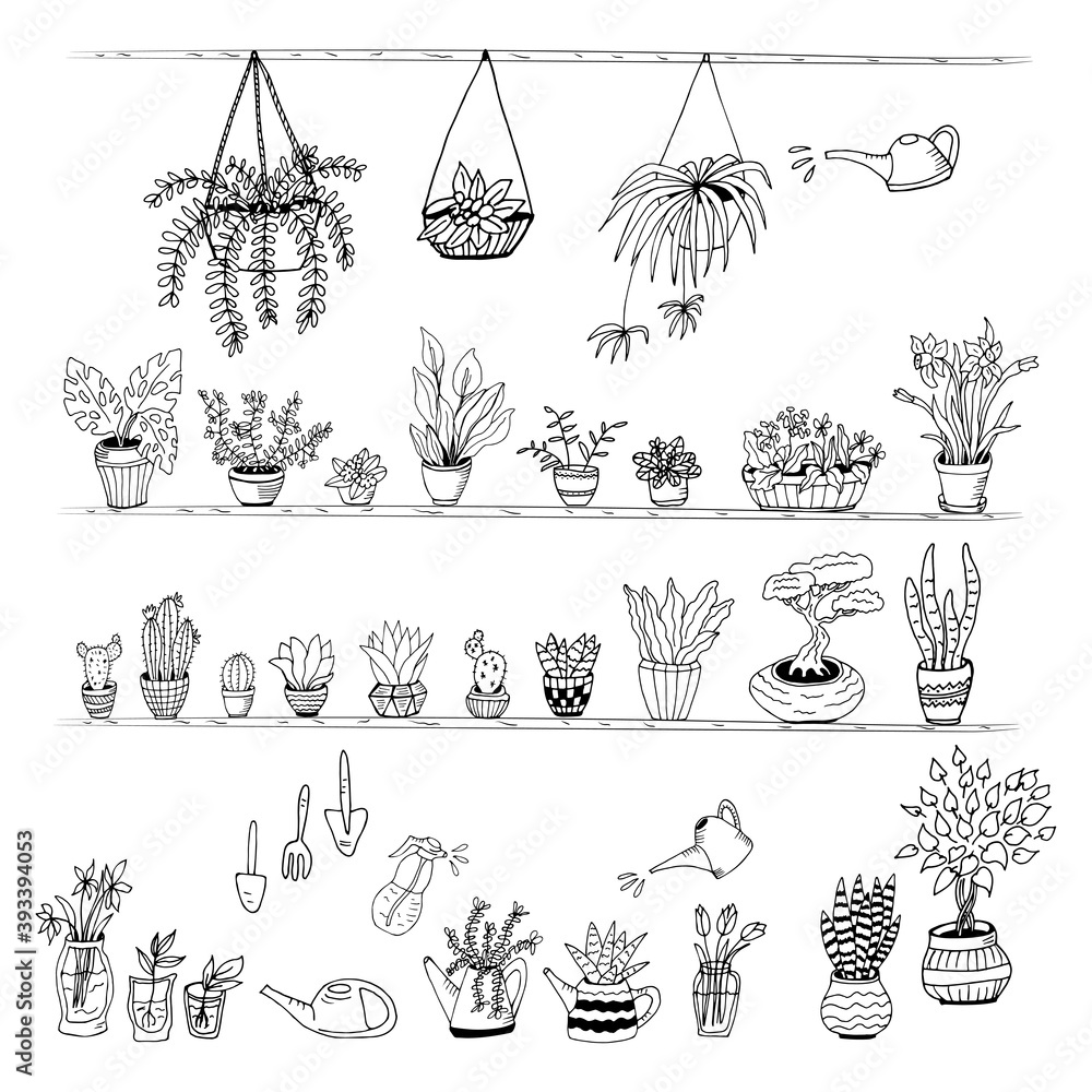 Set of hand drawn house plants in pots. Big set cute of hand drawn house plants in pots including cactus, dracena, aloe and others, and garden tools. Vector collection of doodle plants. Set of hand drawn house plants in pots. Big set cute of hand drawn house plants in pots including cactus, dracena, aloe and others, and garden tools. Vector collection of doodle plants.