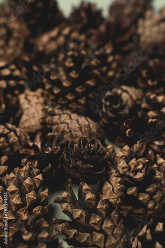Christmas pattern of natural pine brown cones