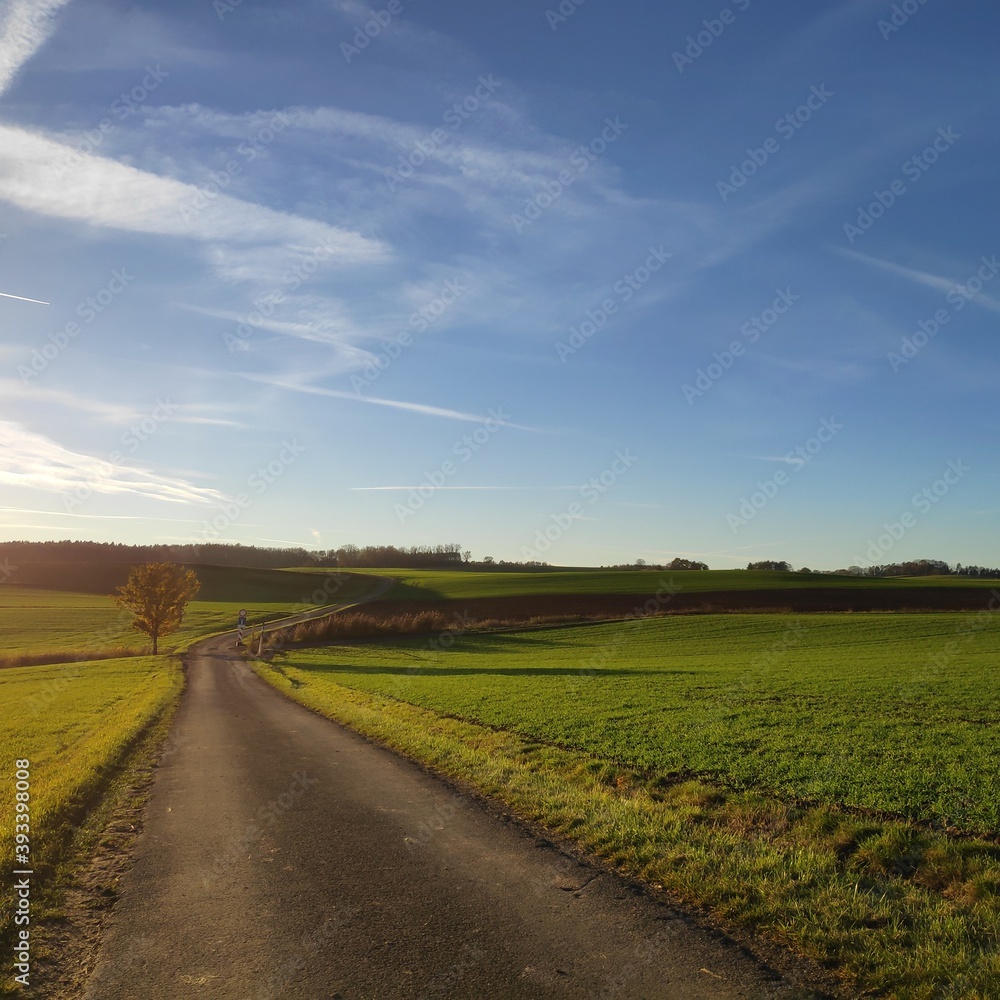 road in the field