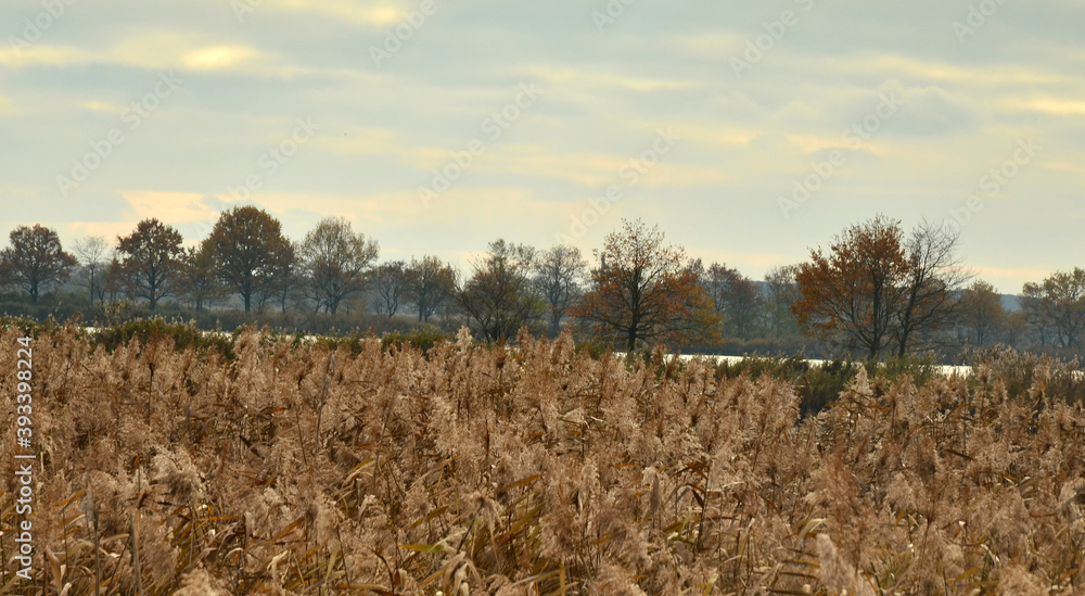 Obraz premium Kolory jesieni