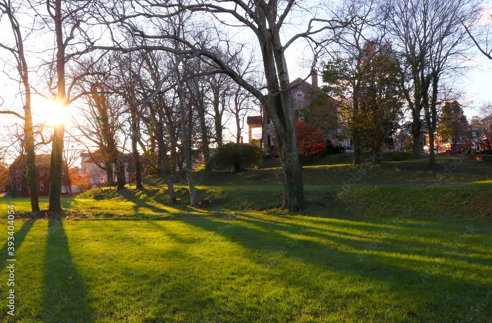 Neighborhood Scene With Green Lawn in Morning Sunlight