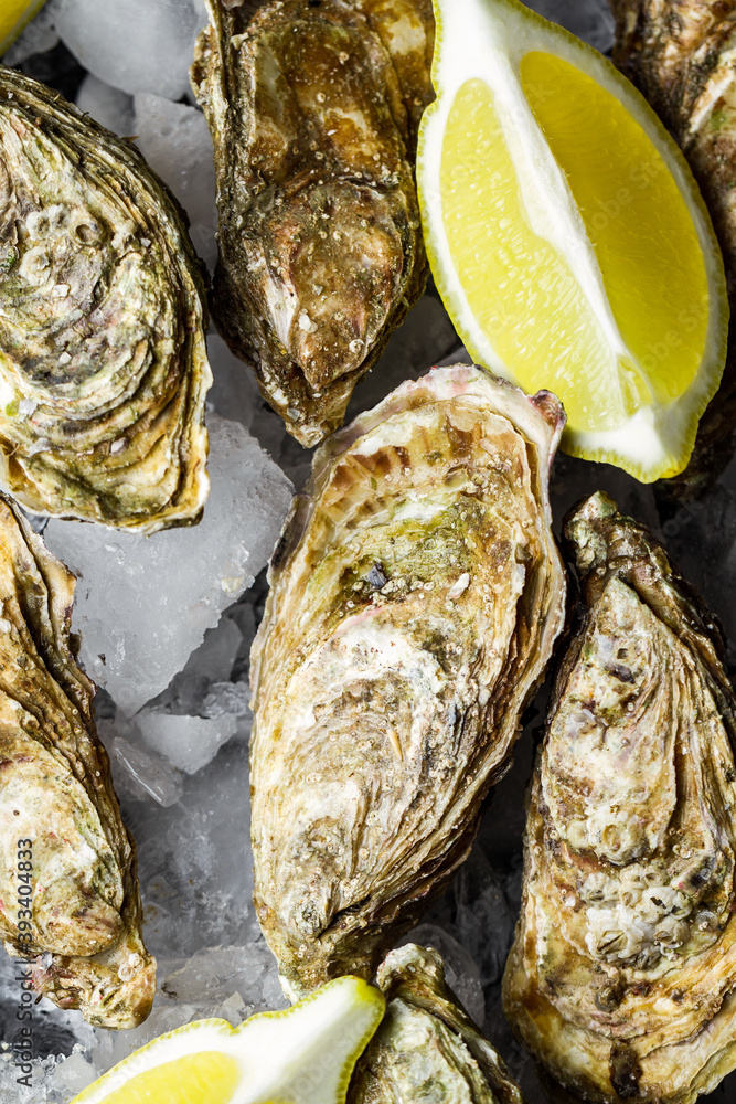 Fresh raw oysters on ice with lemon Fresh raw oysters on ice with lemon