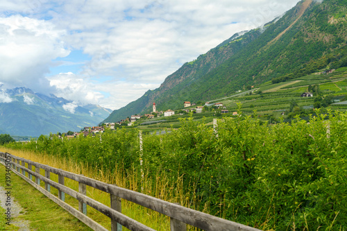 Summer landscape along the cycleway of the Venosta valley