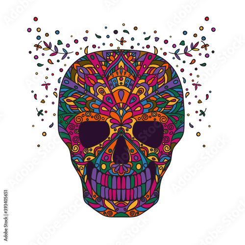 Skull. Bright vector illustration in doodling style isolated on white background.