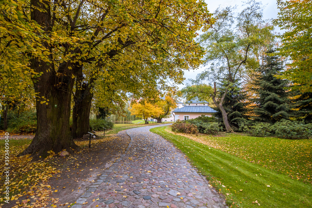 Naklejka premium Autumn trees alley with colorful leaves in the park