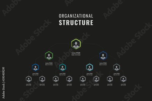 Vertical organizational structure of the company template. Multicolor hexagonal elements with person symbols, names and job positions on a black background. Vector business hierarchy. Eps 10