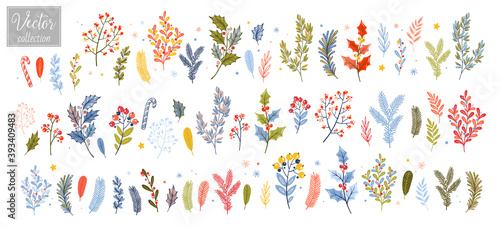 Christmas plants drawn in doodle style. Vintage, Branches of Christmas trees, berries, mistletoe and other plants.