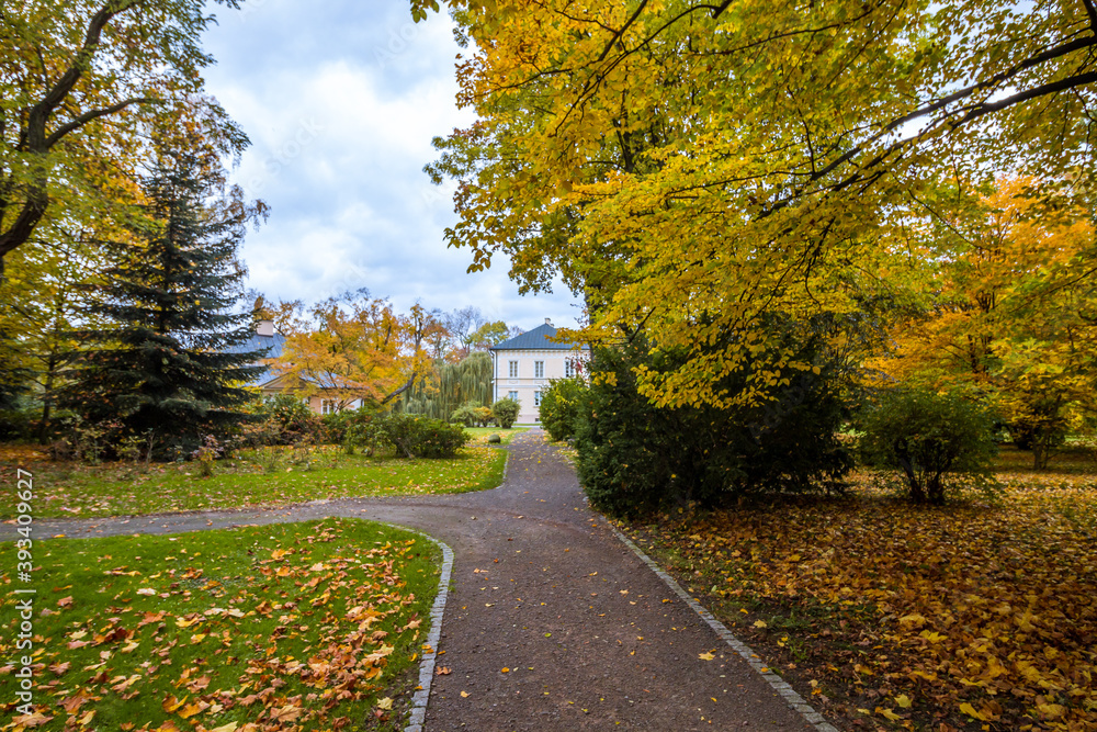 Autumn trees alley with colorful leaves in the park Autumn trees alley with colorful leaves in the park