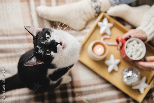 Young woman sits on plaid in cozy knitted woolen sweater with funny tuxedo black and white cat. Wooden tray with mug of chocolate, marshmallow cocoa, Candle, stars. Hygge New Year, cozy Christmas.