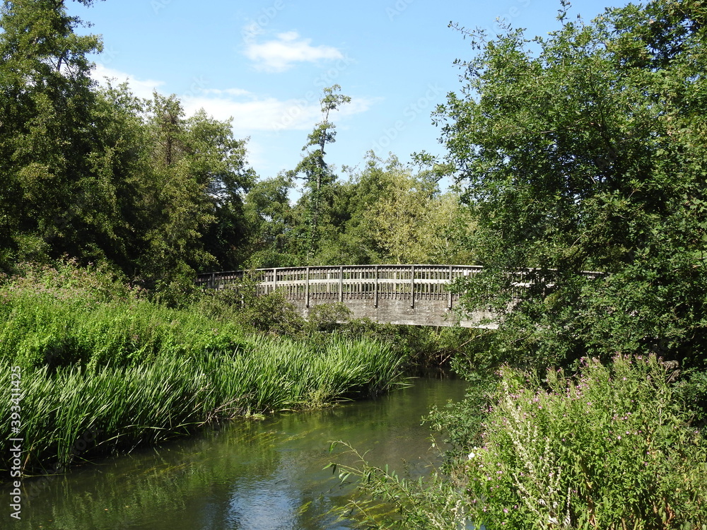 Fototapeta premium View of the wooden bridge and a footbridge across the river