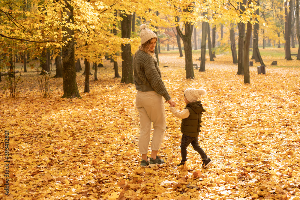 Fototapeta premium Young mother with her son enjoying a beautiful autumn day and a walk in the park. Golden yellow foliage holding hands. Photo in full growth, view from the back