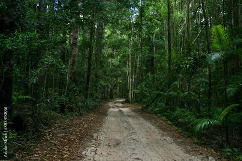 Hiking through the rainforest of Fraser Island, Queensland, Australia