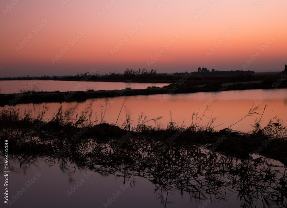 Fototapeta premium Rice fields Landscape with sunset, dusk with orange reflections of sunset