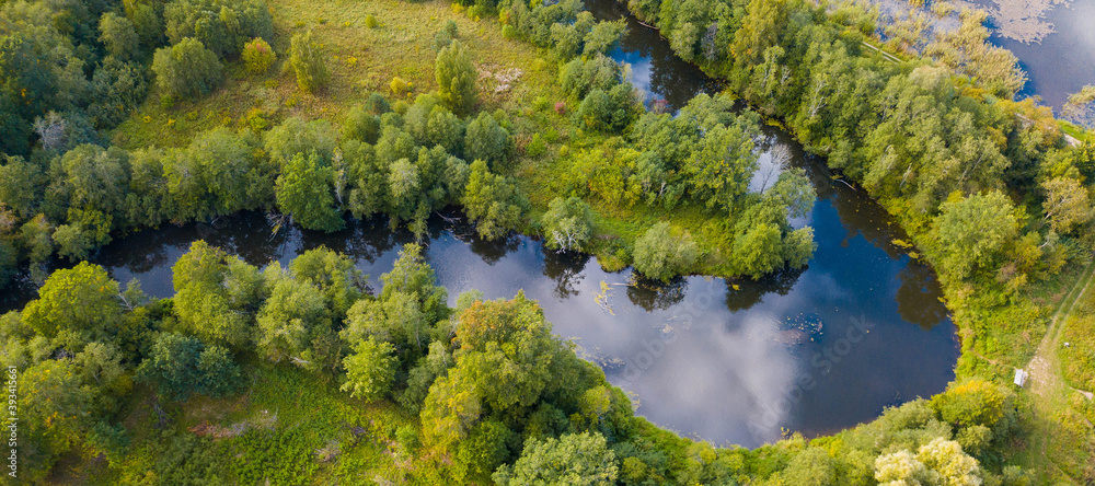 Aerial view from above of summer green forest, curved river and swamp. Coastal thickets. Marshland.