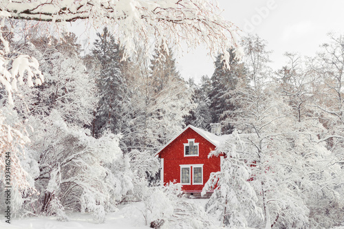 Beautiful red wooden house in snow fairy forest Sweden. House painted in traditional Swedish color. Winter scenery with red cottage surrounded by trees covered with snow and frost. Space for your text photo