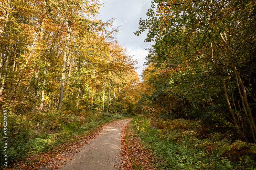 Wandern auf Rügen Wandern auf Rügen