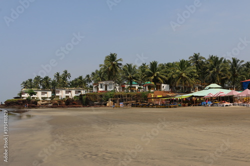 house in the palms of Goa India © subbot