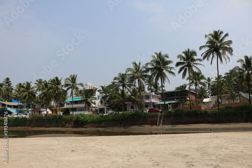 house in the palms of Goa India © subbot