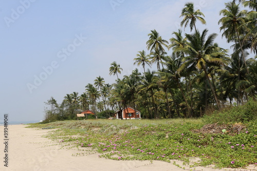 house in the palms of Goa India