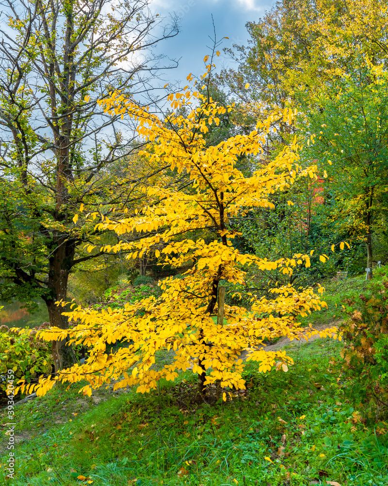 Fototapeta premium Ataturk Arboteryum in Sariyer district of Istanbul