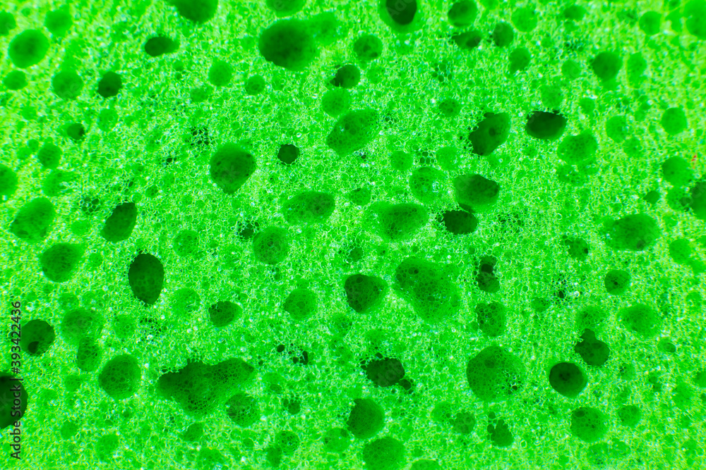 Green sponge texture background. Close up, macro photo. Green sponge texture background. Close up, macro photo.