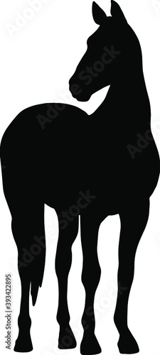 Icon of horse silhouette. Black vector illustration of mustang stallion