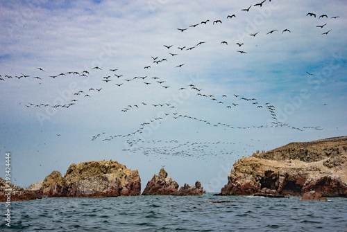 Ballestas Islands in Peru.