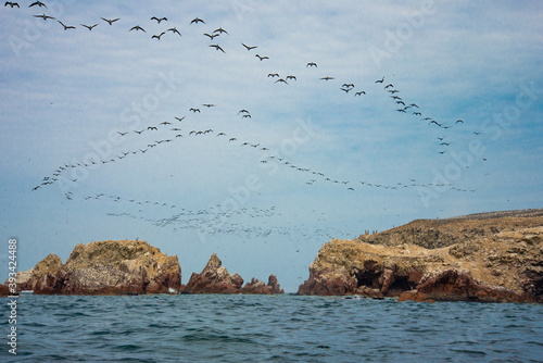 Ballestas Islands , Peru.