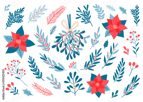 Winter botanical design elements. Set of hand drawn plant twigs, fir branches, berries, mistletoe, poinsettia, holly. Collection of greenery for Christmas design. Vector illustration.