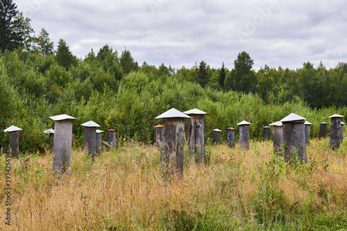 apiary for breeding and selection work with traditional hives - bee gums