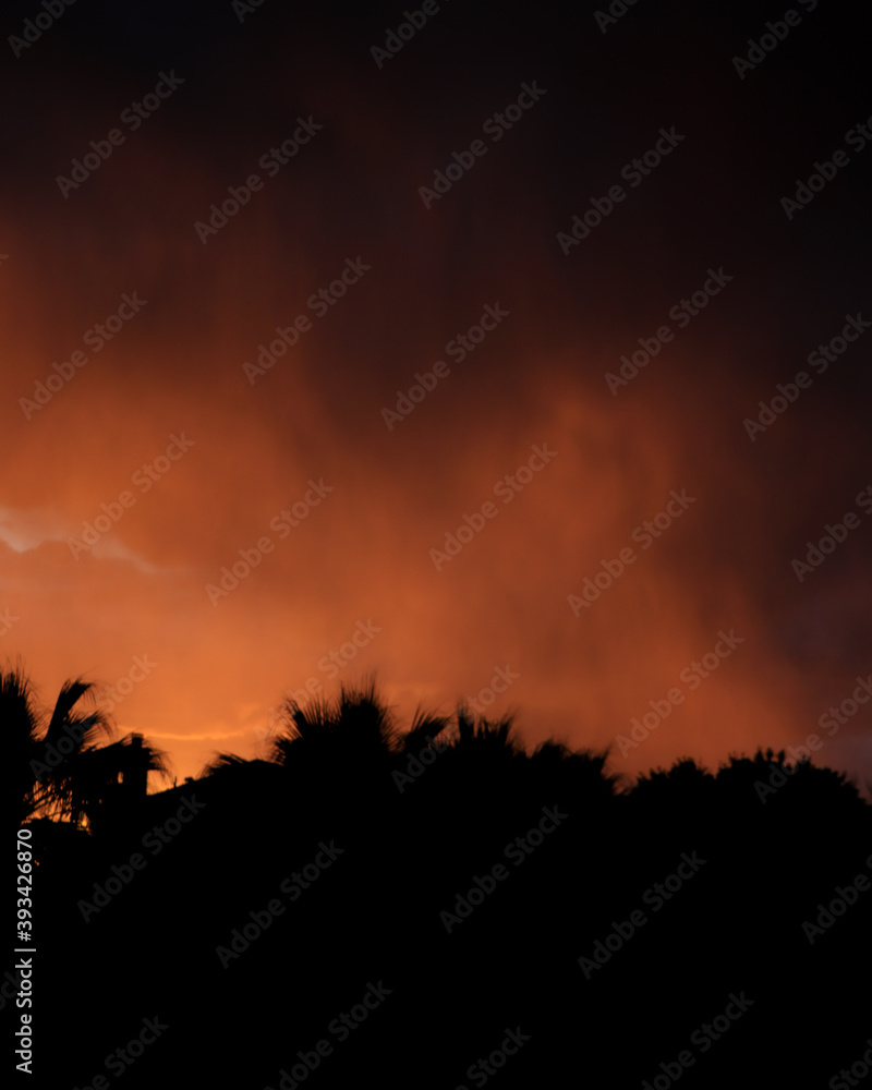 Naklejka premium sunset in the desert