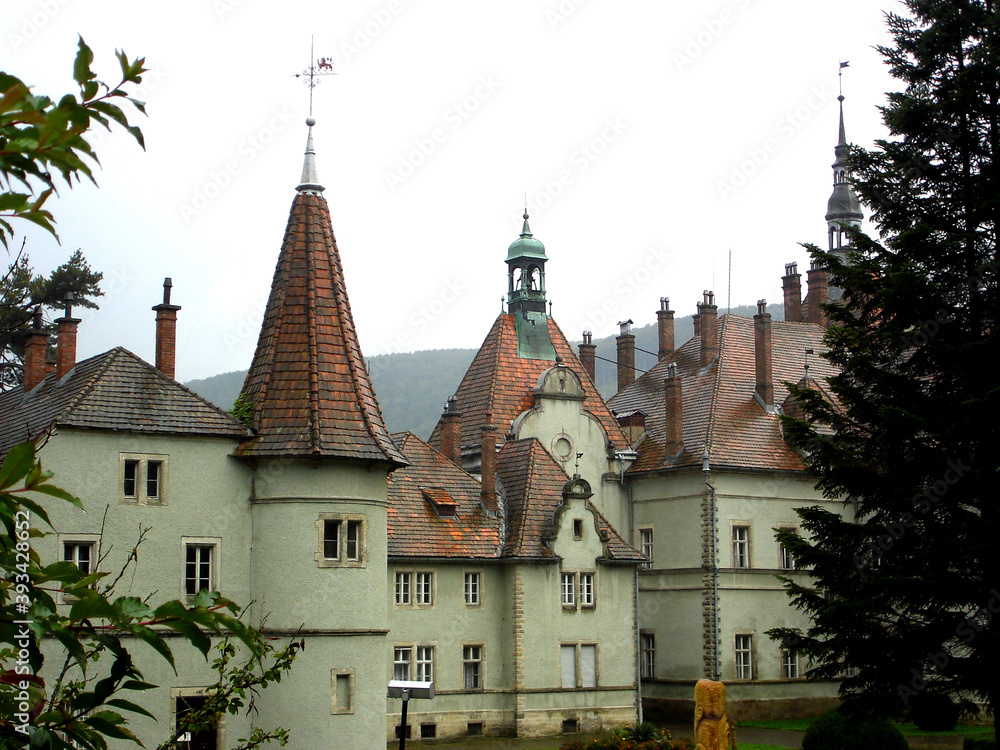 Wet red tiled roof with turrets at Shenborn Palace