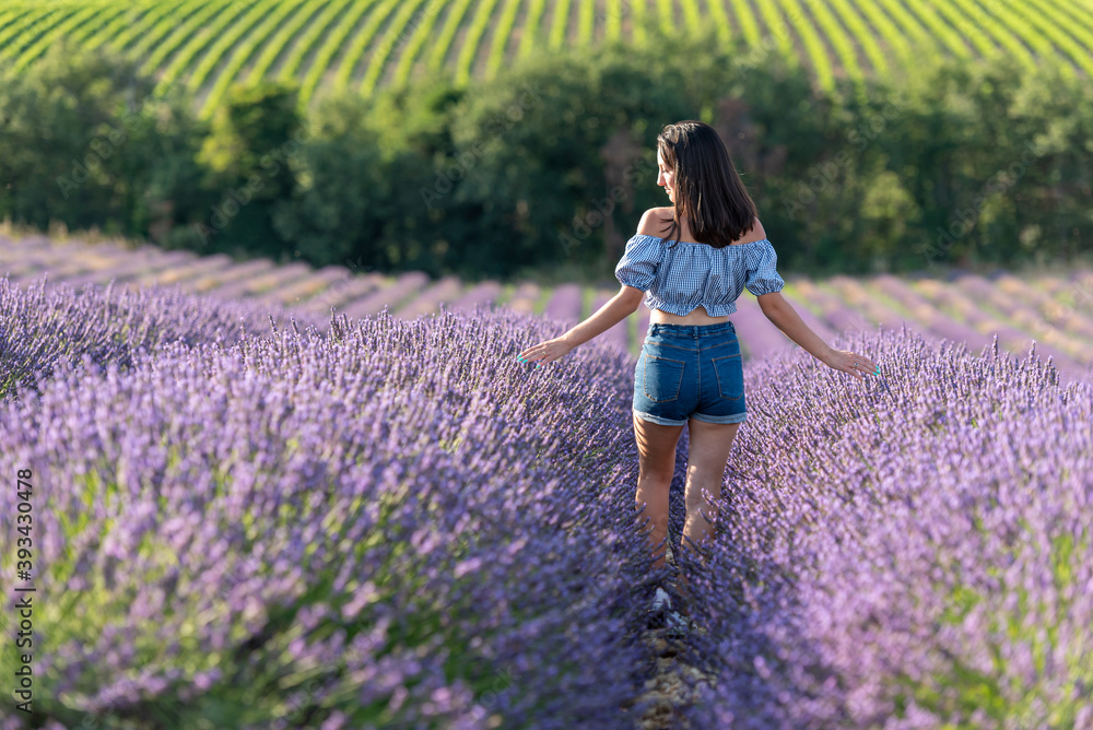 jeune fille au milieu d'un champ de lavande jeune fille au milieu d'un champ de lavande
