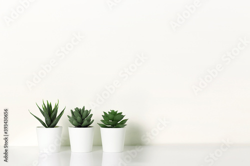 white pots on shelf