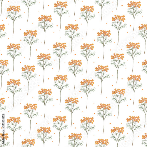 Seamless pattern with leaf and flower tansy on a white background. Botanical illustration for design medicine, wedding invite, greeting card, cosmetic. Watercolor painting