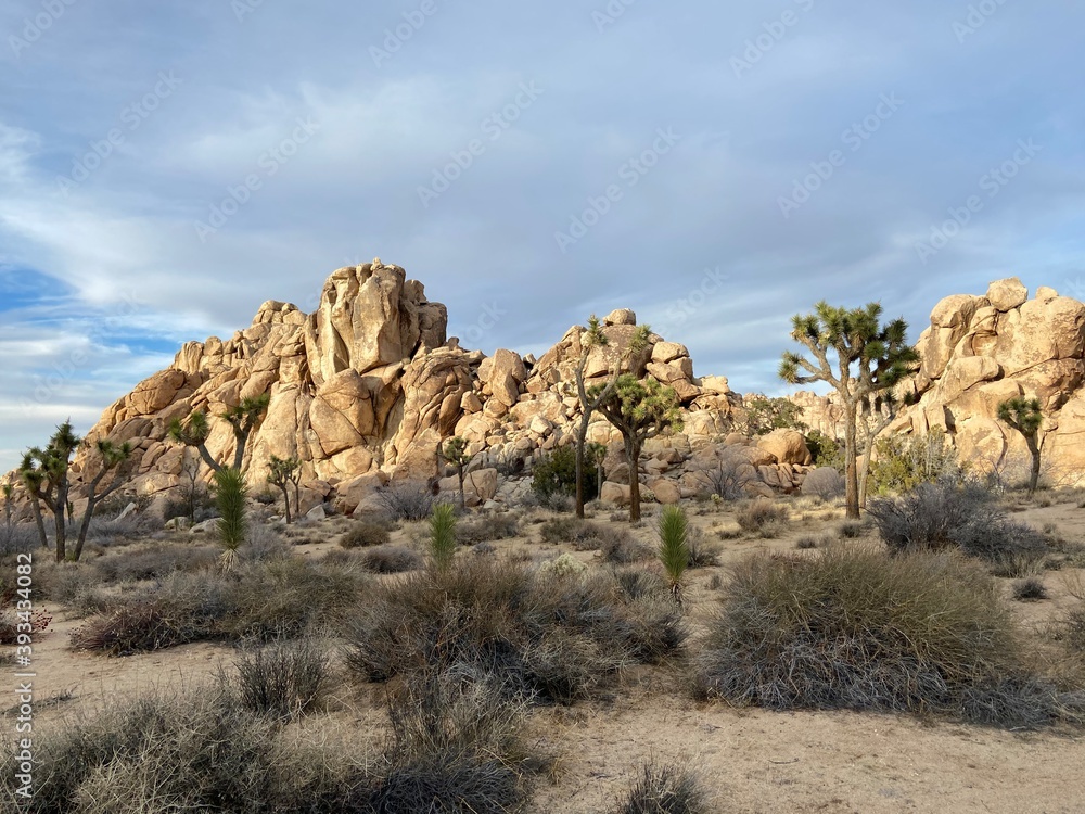 Fototapeta premium red rock canyon