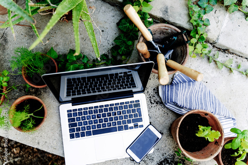 High angle view of laptop, smart phone, plant in back yard