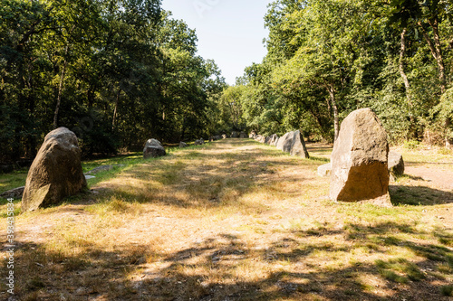 Germany, Lower Saxony, Wildeshausen, Visbeker Braut burial mound