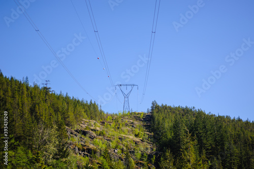 Power lines and tower passing through forest.